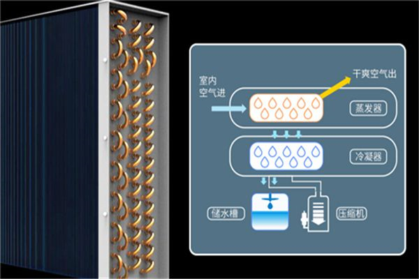 除濕設備用于制藥廠潔凈車間